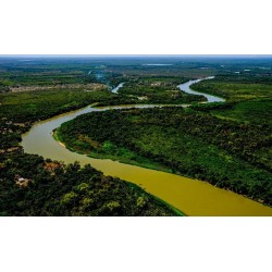 Projetos de Restauração Ecológica no Cerrado e no Pantanal recebem R$ 42 milhões do BNDES e da Petrobras